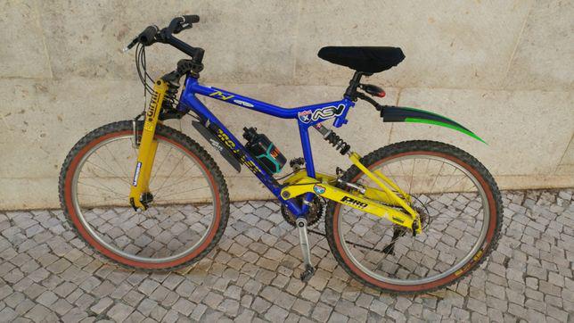 Bicicleta Pro Flex